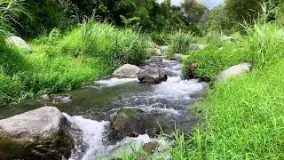 Tranquil River Flow &ndash; 10 Hours of Water ASMR  - Stress, Anxiety Relief & Meditation Sounds