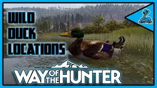Wild Duck Locations - Way of the Hunter