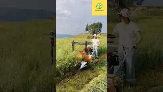 Multiple crop hand harvester with easy use. I just love it and like it.  What about you guys