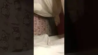 Sleeping stream after a long tiresome day