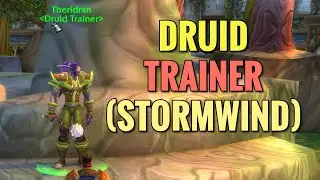 Stormwind Druid Trainer (WoW Classic)