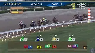 2017 Pegasus World Cup - Arrogate - Gulfstream Park - 01/28/2017