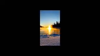 Snowfall & Stillness &mdash; A Calm Winter Journey