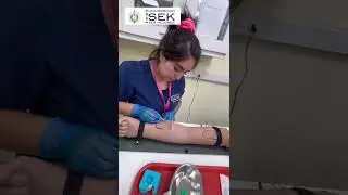 Punci&oacute;n venosa y an&aacute;lisis bioqu&iacute;mico 