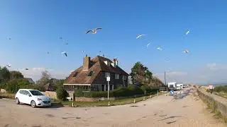 Feeding the seagulls at Littlestone Beach in Kent.