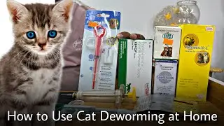 বিড়ালের কৃমির ঔষধ ব্যবহার করার  নিয়ম? || How To Use Cat Deworming at Home ? #petcare #petmedicine