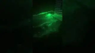 Let's set up the spooky fog for my Halloween party!!