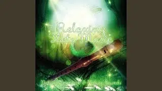 Pan Flute Music, Forest