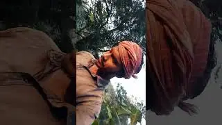 Subah subah #duty ja rahe hain #new Santhali# block video viral trending