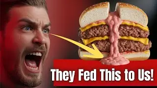Hidden Chemicals in a Fast Food Burger: What Are We Really Eating?