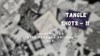 TANGLE SHOTS-11 🤩 Calming Zen for Busy Days