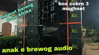 putra mandiri audio anak e box cobre brewog mberot bareng desy Afrika dan mas alex di blau