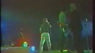LADY PANK - Vademecum Skauta -Live