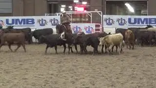 A Chic Commander: 5K Novice Horse at American Royal Cutting