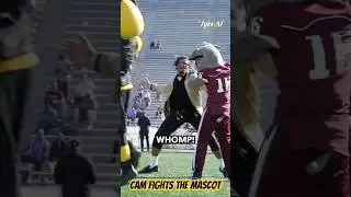 Cam Newton fights the mascot and Ryan Clark gives the play by play 😩😂 #fun