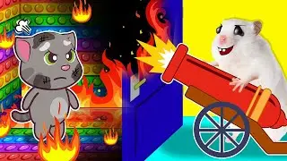 Hamster Wolfoo, Where Are You? | Cartoon Hamster by Funny Hamster