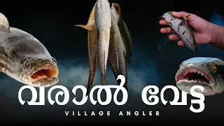 Varal Vetta | Fishing Video | Snakehead Videos | Handline Fishing #VillageAngler
