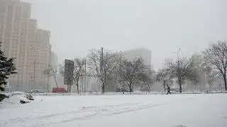 Quiet Snowy Evening &ndash; Peaceful Outdoor Ambience for Sleep & Focus