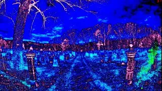Reborn ( Prod. DocWho )