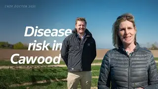 Crop Doctor, North | Managing varying disease pressure this season