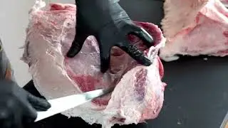 Amazing wagyu beef trimming process #wagyu #wagyubeef #trimming