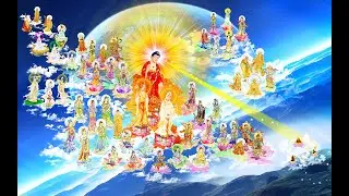 KHAI THỊ SỐ 10 - TU HÀNH, NGHE PHÁP KHÔNG ÍT, TẠI SAO CHẲNG THỂ VÃNG SANH?