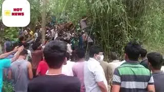 python was spotted by the locals inside a tea green and panic spread among the locals