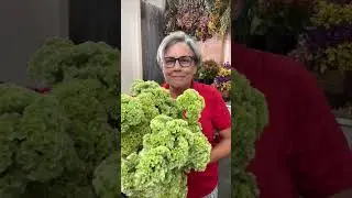 Growing extraordinary simple flowers.