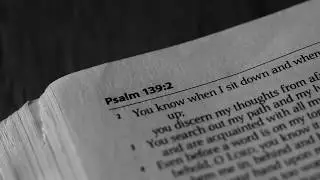 Bible Close up stock video collection demo