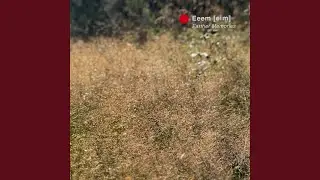 No Escape