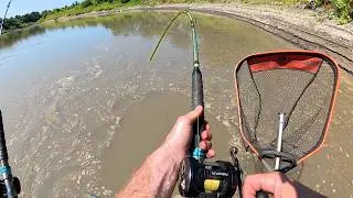 This River Is LOADED WITH FISH!!! (Big Fish)