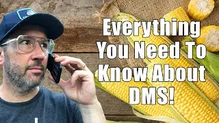 Understand The Science Of DMS In Your Beer!