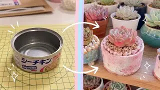 #20【多肉植物】超かんたんリメ缶の作り方