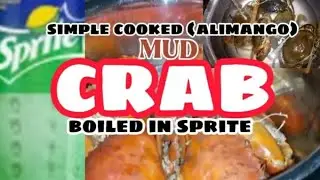Simple cooked (alimango)mud crab boiled in sprite (home pH) @joemagsvlog