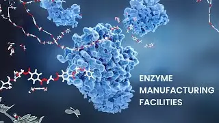 Enzyme-Manufacturing Facilities | Biofuels and Biotechnology | UPSC CSE 2025 Prep | Tech in News