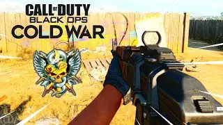 The AK47 Is Elite In Black Ops Cold War..! (COD BOCW) Solo Nuclear Gameplay?