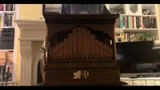 20 Note Barker organ plays Mats Sijnesael arrangements 