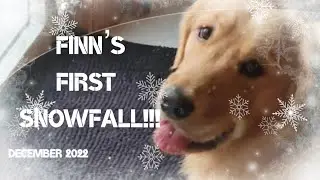Finn&rsquo;s First Time in the Snow!! (A PressStart Short)