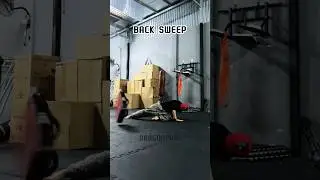 Back sweep #shortsvideo #tutorial #shortvideo #shots #usa #india #korea #sports #ytshort #yt #mma