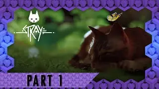 Stray Gameplay - Part 1 - FULL GAME, No Commentary