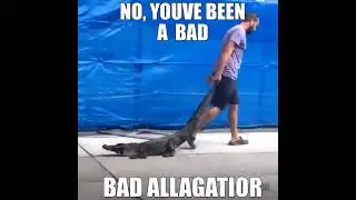 fuck you gator