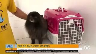 Virada do ano exige atenção redobrada com o bem-estar dos pets - 31/12/25