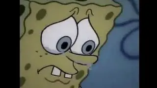 Sweater Weather [AMV] Spongebob Squarepants