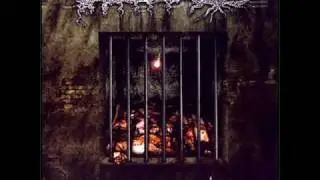 Disgorge - Sodomic Baptism