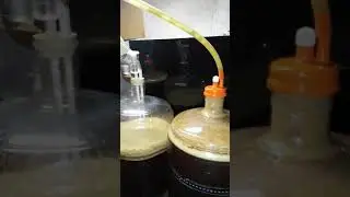 Custom blow off system
