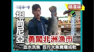 【坦尚尼亞】巨物市場魚比山高 百斤大鱸魚竟曬成乾!? （維多利亞湖捕魚／魚內臟餵食禿鷹）｜《世界第一等》520集精華版 #好家在我在家