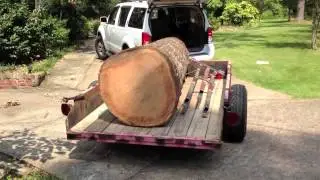 Picking up a red oak for lumber