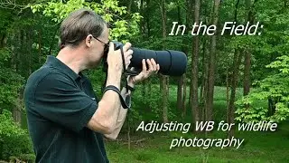 In the Field: Adjusting WB for wildlife photography - Today's Photo Minute Video #23