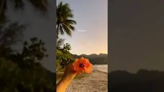 Welcome to the island Moorea 🐚🌴 #moorea #frenchpolynesia #tahiti #beachvacation #tropicalparadise