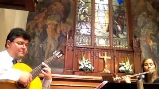 Fields Of Gold   - Flute & Guitar Duo